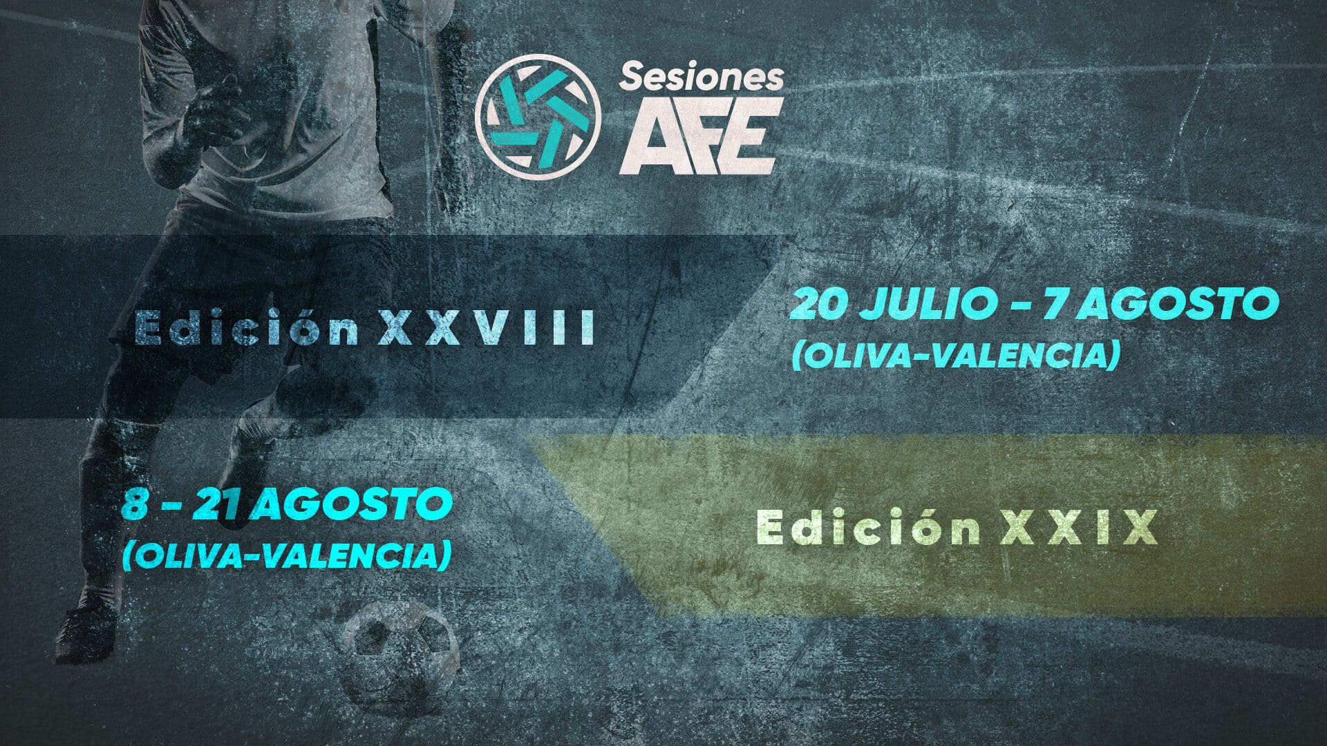 Sesiones AFE XXVIII y XXIX