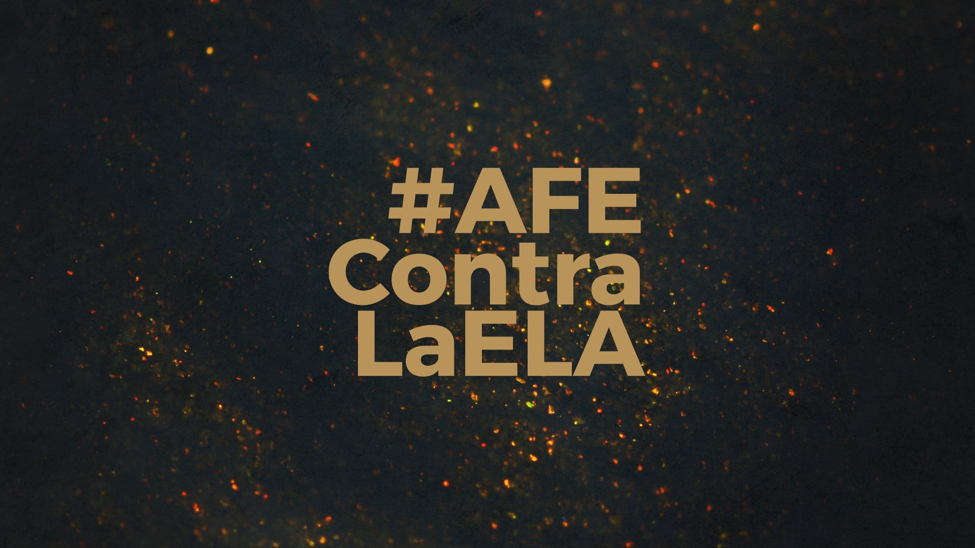 La tercera gran subasta solidaria de la Fundación AFE marca un gol a la ELA